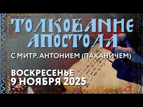 Видео: Воскресенье, 9 ноября 2025 года. Толкование Апостола с митр. Антонием (Паканичем).
