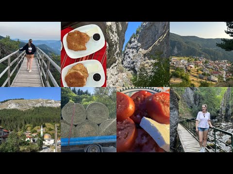 Видео: Величието и красотата на българските Родопи 🌲