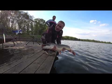 Видео: ПОКЛЁВКА НА БОЙЛ ГИГАНСКОЙ ЩУКИ. КАРП УЖЕ НЕ НУЖЕН