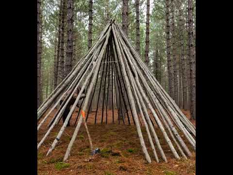 Видео: Построил Юрту в лесу