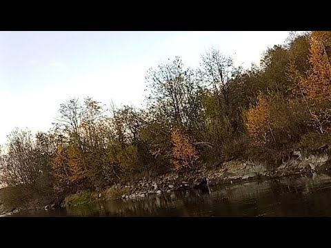 Видео: Рибалка на річці Прут 1 частина 