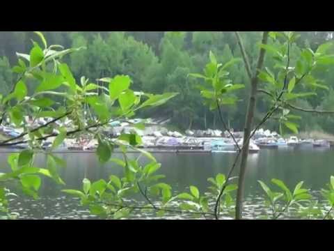 Видео: Кузнечное Ленинградская область