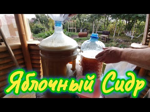 Видео: Яблочное Вино на Природных Дрожжах.Так Делаю я.