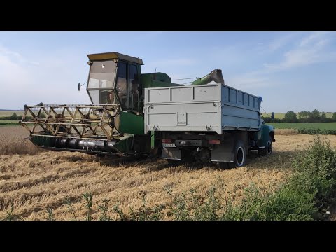 Видео: Ще в нас таких жнив не було❗❗возим зілом зерно