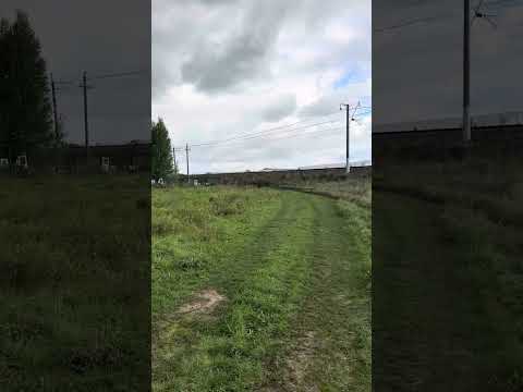 Видео: Совет 