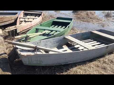 Видео: В Макарьев на вербное воскресенье
