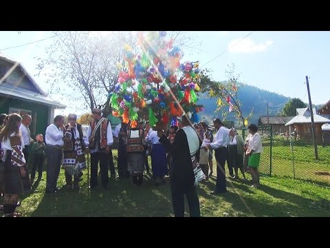 Видео: Традиційне гуцульське весілля в Карпатах. Повне відео