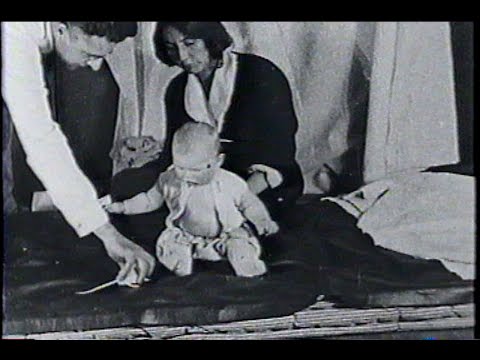 Видео: Эксперимент « Маленький Альберт » 1919 год. Полный разбор.
