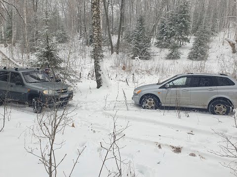 Видео: Проверяем лес. Как там обстоят дела???
