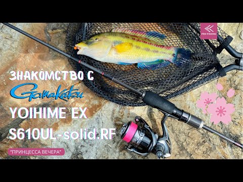 Видео: Знакомство с GAMAKATSU YOIHIME EX S610UL-solid.RF ROCKFISHING в Сочи и п.Ольгинка