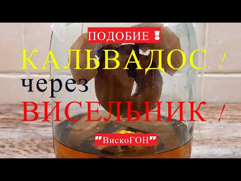 Видео: 👍 Имитация Кальвадоса через " ВИСЕЛЬНИК " С ароматом Как из Дубовой Бочки !  Ароматная ! Яблочная !