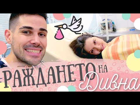 Видео: РАЖДАНЕТО на ДИВНА | Седалищно, естествено, за 3 часа