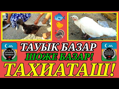 Видео: 🦃ТАУЫК🐓ШОЖЕ🐤БАЗАР 28.07.24ж.#тахиаташ#каракалпакистан#цены#бахалары#кораз#уйрек#цыплята#куры#утки