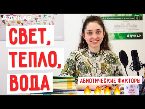 Видео: Свет, тепло, вода как абиотические факторы | Биология ЦТ, ЕГЭ