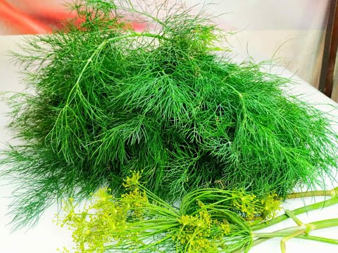 Видео: Как ХРАНИТЬ  ЗЕЛЕНЬ в холодильнике  СВЕЖЕЙ, ДОЛГО