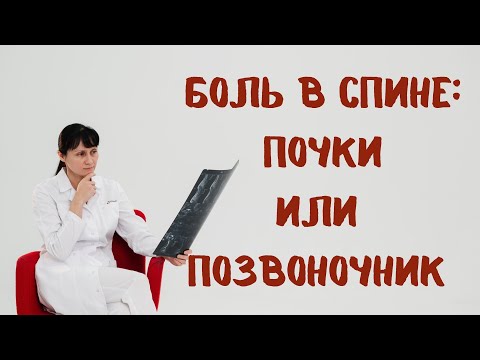 Видео: Боль в спине: почки или позвоночник? Отличия Доктор Лисенкова