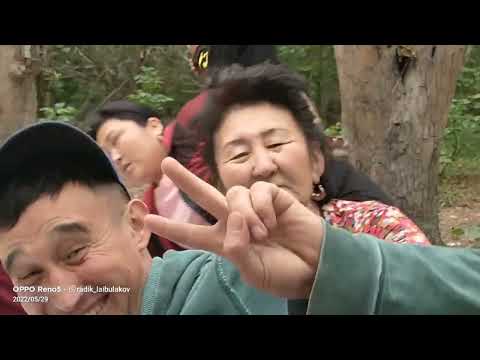 Видео: #Лайбұлақ #Лайбулак #ауылым ВКО.