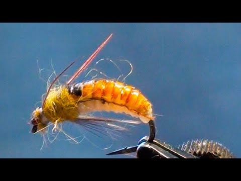 Видео: Мушка для ловли хариуса и ленка ручейник, как вариант