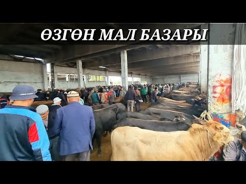 Видео: ӨЗГӨН МАЛ БАЗАРЫ РЕАЛДУУ БААЛАР.