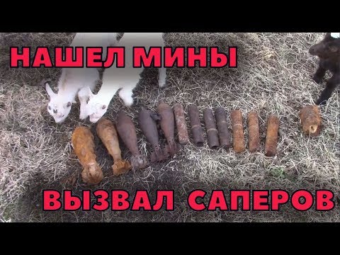 Видео: Нашел мины в лесу