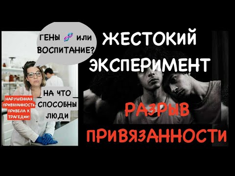 Видео: БЕЗНАКАЗАННЫЕ ЖЕСТОКИЕ ЭКСПЕРИМЕНТЫ(75)