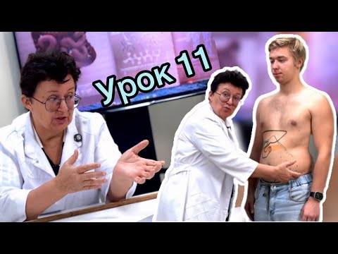 Видео: Урок 11. Как торчащий живот сделать спасательным кругом для тела- всегда мягким и безболезненным: