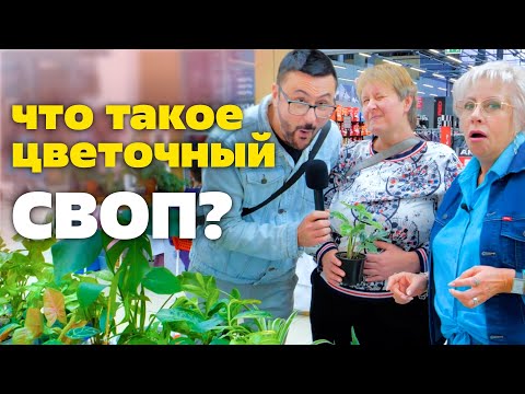 Видео: Потратили кучу денег на растения с сестрой 🤯 🌸