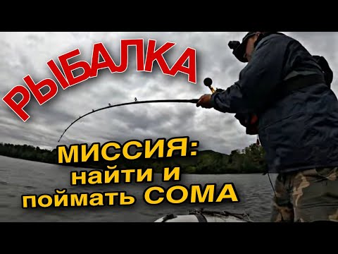 Видео: ЛОВЛЯ СОМА. ловим Сома на КВОК.