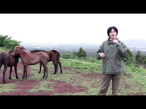 Видео: ACMP в природе во время путешествия (Общество) с друзьями