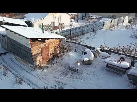 Видео: МОЙ ДОМ. МОЙ ОГОРОД. МОЙ ГОРОД. МОЯ УЛИЦА. ЧЕТВЕРГ. ⟨06.11.2025г.⟩ 11:42