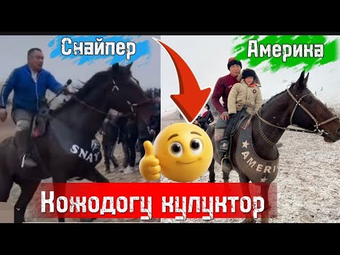 Видео: Кожодогу кулуктор оспурумдор сатылат