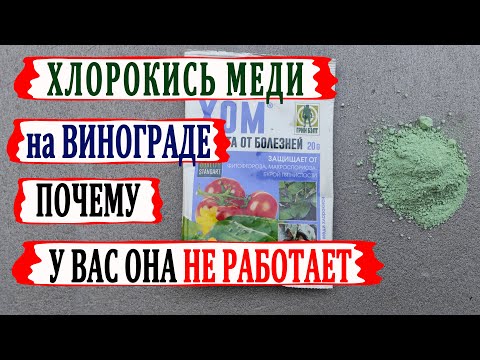 Видео: 🍇 Честный обзор! ХЛОРОКИСЬ МЕДИ против МИЛДЬЮ на ВИНОГРАДЕ! Почему она у Вас не работает?