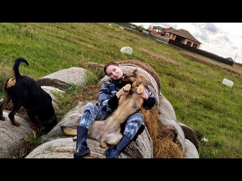 Видео: Всё о переезде! часть 2. Ответы на ваши вопросы и немного о себе.