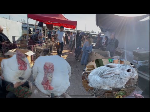 Видео: ПАРРАНДА БОЗОРИ БУГУНДАН УЗГАРАДИ.😱ЕНДИ НИМА БУЛАДИ