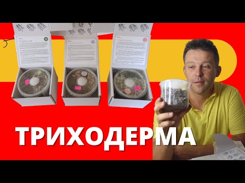 Видео: Био фунгицид Триходерма
