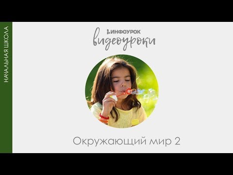 Видео: Природа и рукотворный мир | Окружающий мир 2 класс #6 | Инфоурок