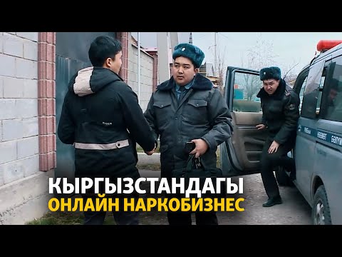 Видео: Интернетте гүлдөгөн баңги бизнеси | Атайын иликтөө
