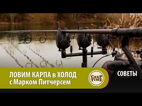 Видео: ЛОВИМ КАРПА в ХОЛОД с Марком Питчерсем СОВЕТЫ