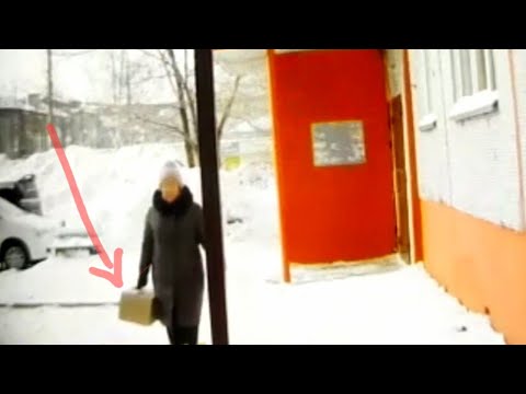 Видео: Камера сняла как женщина подбросила котов  в коробке к подъезду / что было дальше? Saving cats