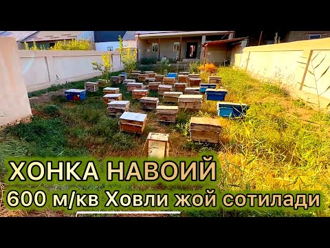 Видео: ХОНКА НАВОИЙ.600 м/кв ховли жой сотилади|Xonqa Navoiy xovli joy sotiladi
