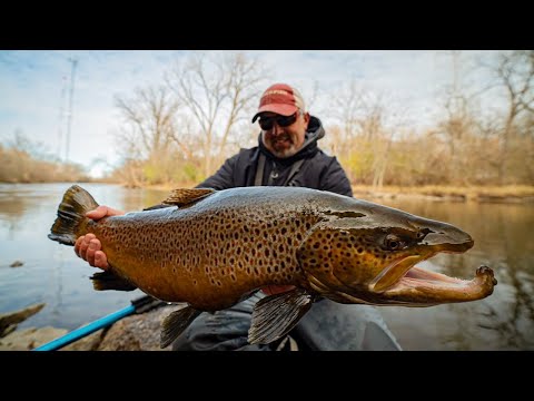 Видео: Ловля гигантской форели в чрезвычайно сложных условиях с берега. Общественная рыбалка.