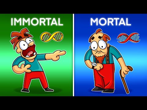 Видео: Я Бессмертный! Плюсы и минусы бессмертной жизни!