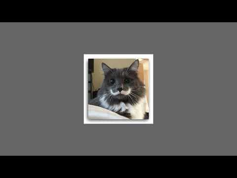 Видео: ✰ Speed up ✰ лучшие рандомные песни ✰ #2 #speedup