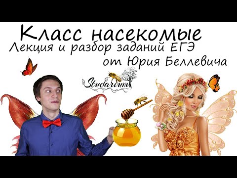 Видео: Класс насекомые. Лекция и разбор заданий от Юрия Беллевича