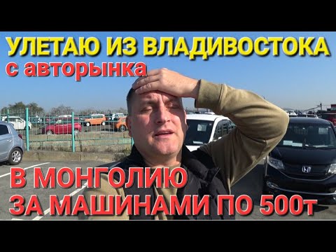 Видео: С АВТОРЫНКА ИЗ ВЛАДИВОСТОК В МОНГОЛИЮ НА АВТОРЫНОК, ЗА МИНИВЕНОМ С БЮДЖЕТОМ В 500тыс