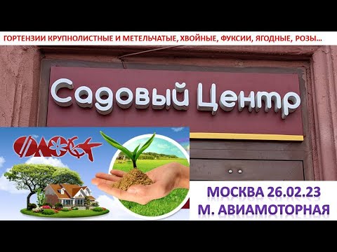 Видео: 📢Обзор садового ЦЕНТРА ФЛОС МОСКВА/Большой выбор растений🌱🌲🥀🌿/химия/инструмент/разное