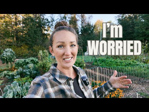 Видео: Я готов сдаться | ПОЛНЫЙ тур по саду — сентябрь | Зона 4A, Миннесота