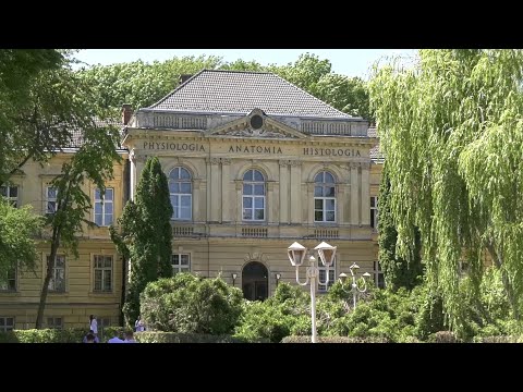 Видео: День відкритих дверей 2023