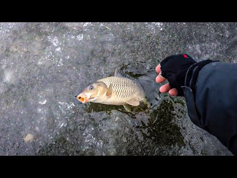 Видео: Мега пассивный КАРАСЬ на БОКОВОЙ КИВОК, Ловля карася зимой, Зимняя рыбалка на карася