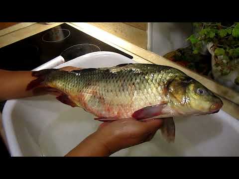 Видео: Лайфхак как правильно заморозить рыбу Хозяйкам на заметку (все дело в чешуе) всегда свежая рыба